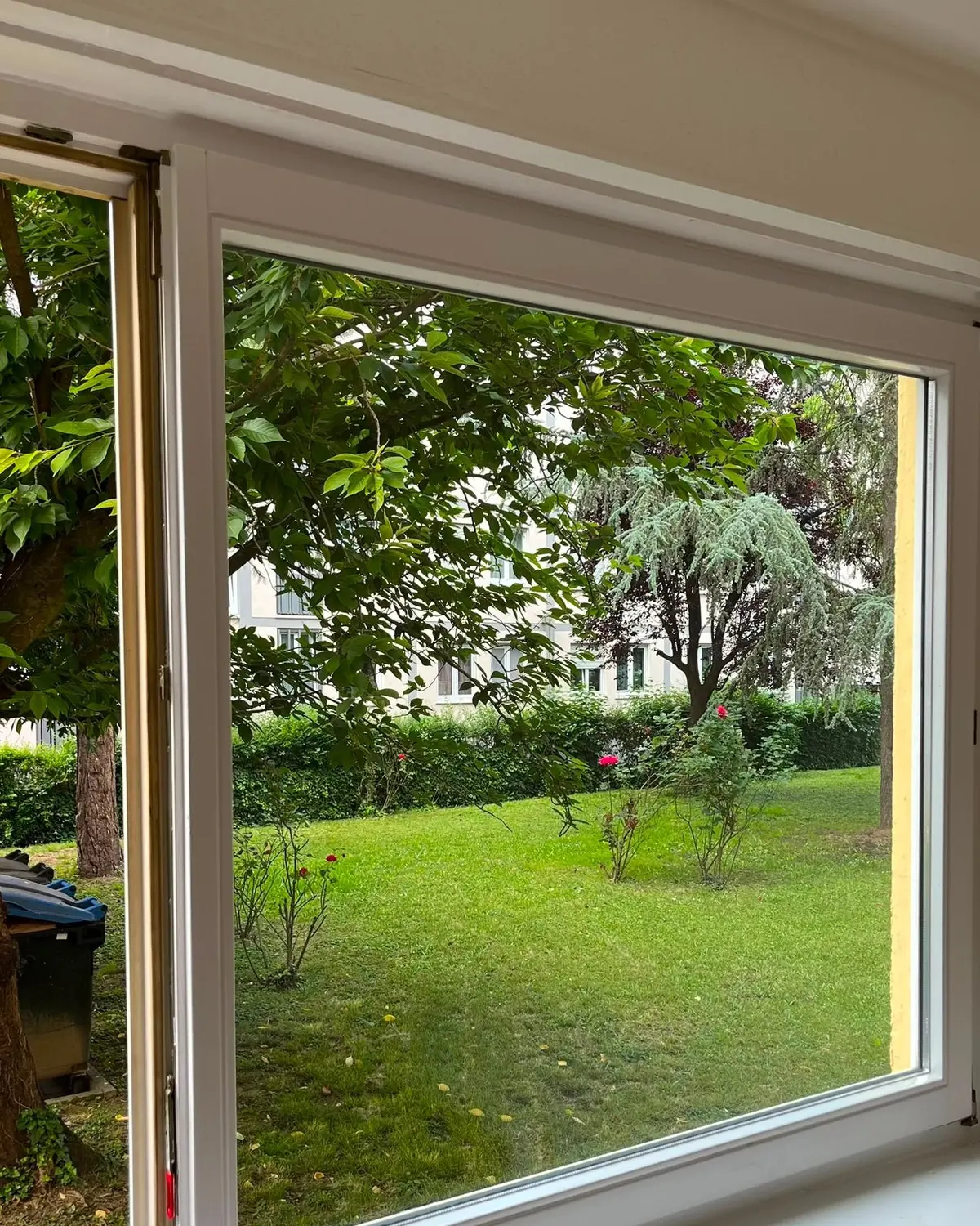 Fensterfront nach der Reinigung